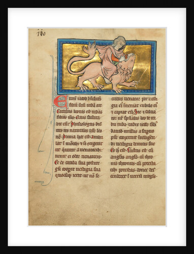 Samson Fighting a Lion by Anonymous
