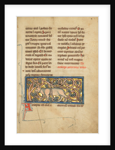 An Antelope with its Horns Entangled in a Bush by Anonymous
