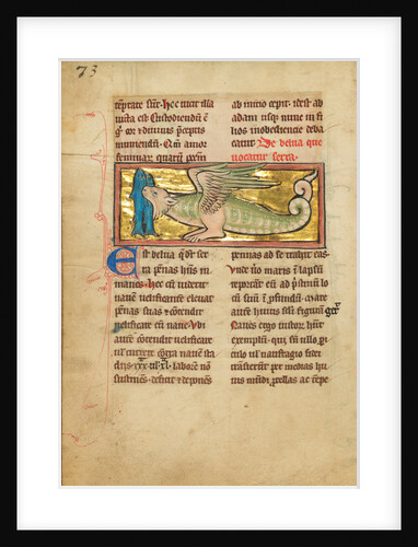 A Sawfish by Anonymous