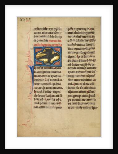 A Blackbird by Anonymous