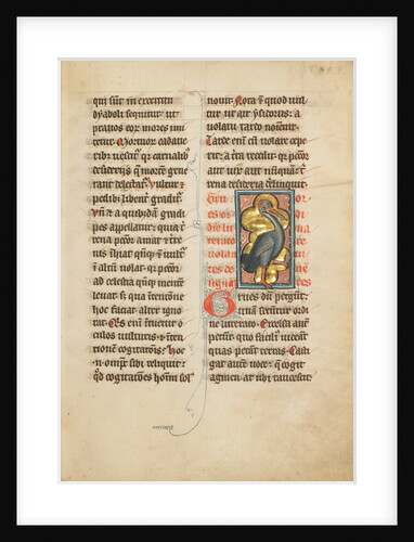 A Crane by Anonymous