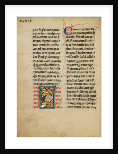 A Stork by Anonymous