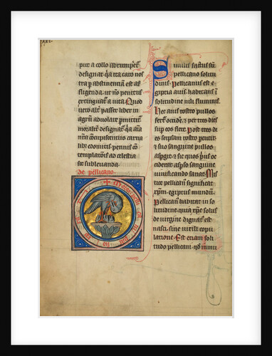 A Pelican Feeding her Young by Anonymous