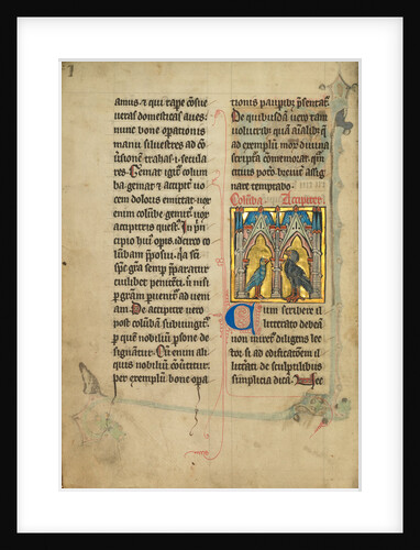 A Dove and a Falcon by Anonymous