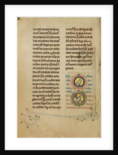 Two Medallions with Doves by Anonymous