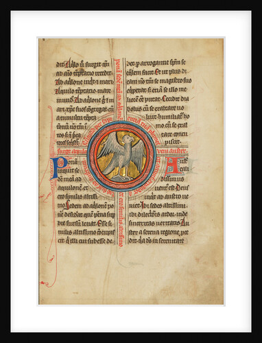 A Falcon within a Cross by Anonymous