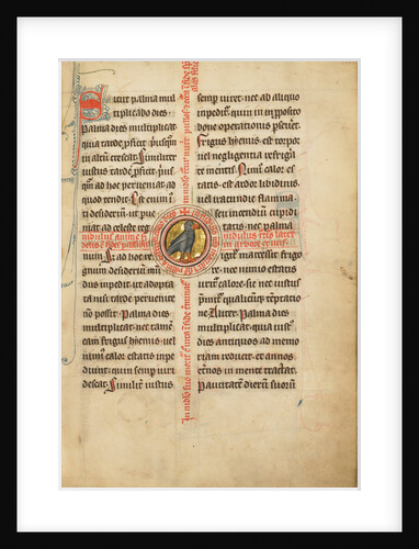 A Medallion with a Turtle Dove by Anonymous