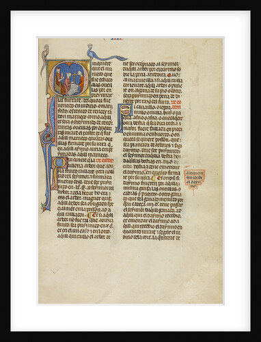 Initial Q: A Judge Pointing to Two Men with a Ram by Anonymous
