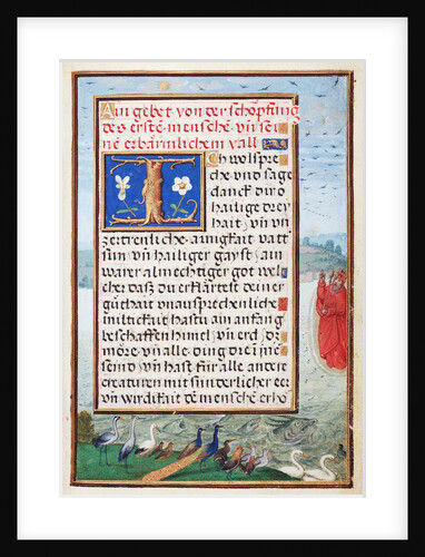 Border with the Creation of Birds and Fishes by Simon Bening