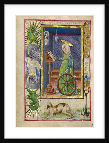 Saint Catherine of Alexandria by Taddeo Crivelli