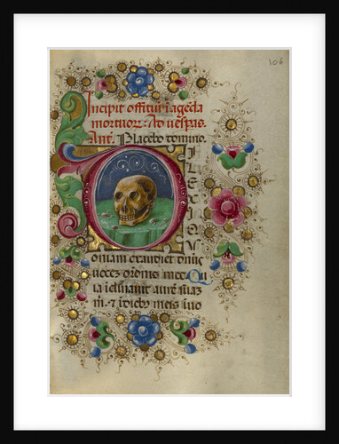Initial D: A Skull in a Rocky Field by Taddeo Crivelli