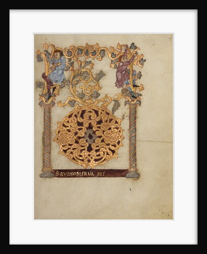 Decorated Initial D by Nivardus of Milan