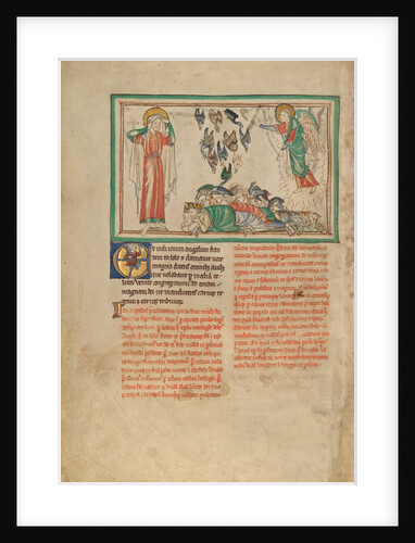 An Angel Standing in the Sun and Birds Invited to the Repast by Anonymous