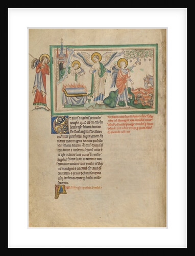 The Harvest of Grapes by Anonymous