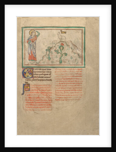 The Lamb on Mount Sion by Anonymous