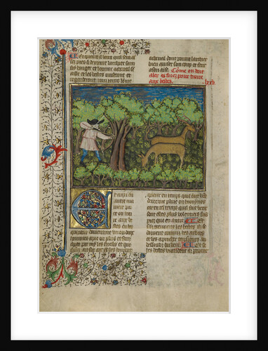 An Archer Shooting at Deer by Anonymous