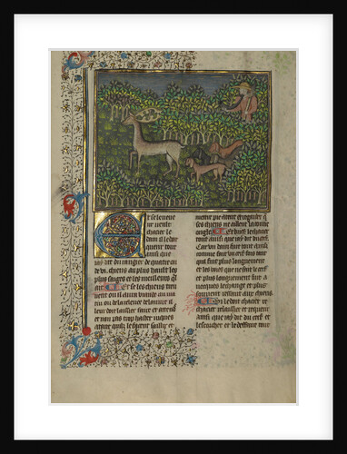 A Hunter and Dogs Pursuing a Fallow Deer by Anonymous