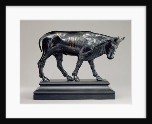 Bull with Lowered Head by Anonymous