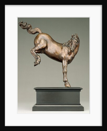Kicking Horse by Caspar Gras