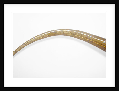 Horn by Anonymous