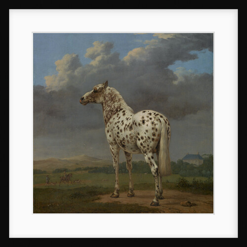 The Piebald Horse by Paulus Potter