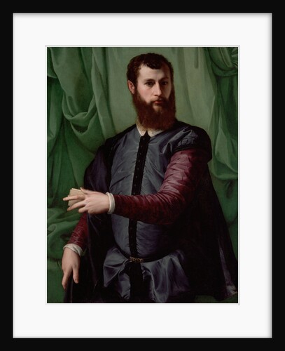 Portrait of a Man by Francesco Salviati