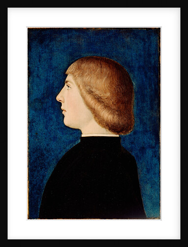 Portrait of a Young Man by Anonymous