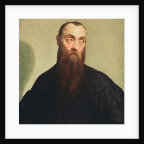 Portrait of a Bearded Man by Jacopo Bassano