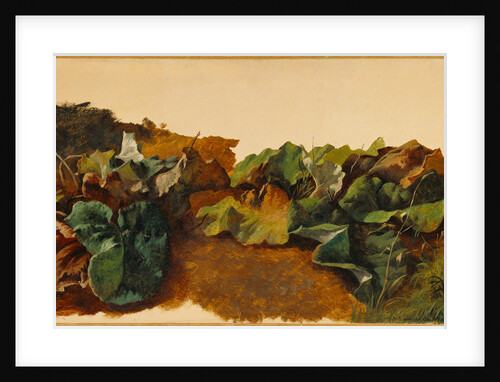 Large Butterburr Leaves and Grass by Gilles-François-Joseph Closson