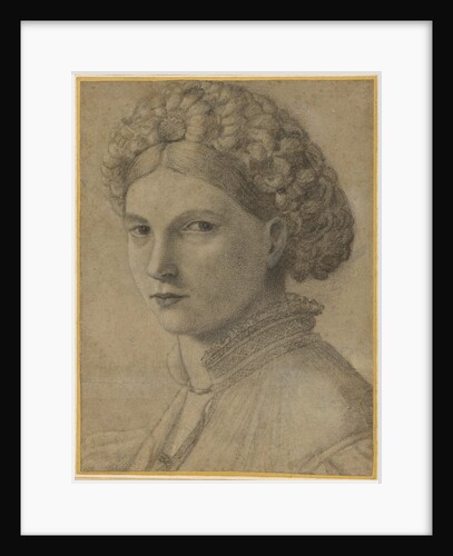 Portrait of a Young Woman by Andrea Previtali