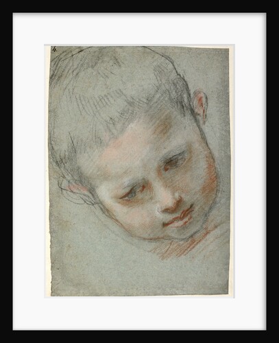 Head of a Boy (recto), Figure Studies (verso) by Federico Barocci