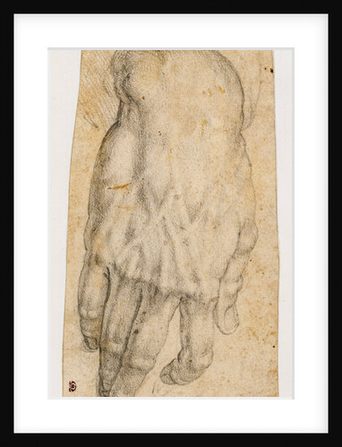 Study of a man's right hand (recto), Studies of four heads and of a nude figure seen from the rear (verso) by Agnolo Bronzino