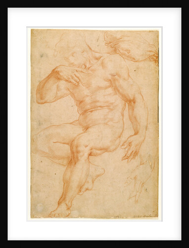 Studies of a Male Nude, a Drapery, and a Hand by Giorgio Vasari