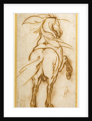 Study of a Rearing Horse by Jacques Callot