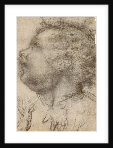 Head of a Child, an Angel and a Hand (recto), Male Figure (verso) by Fra Bartolommeo