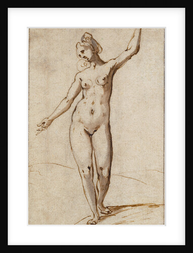 Female Nude by Karel van Mander