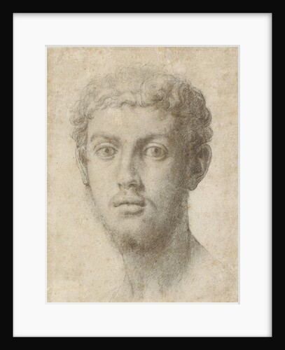 Head of a Man by Agnolo Bronzino