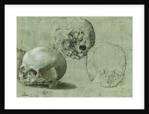 Study of Three Skulls (recto), Architectural Study (verso) by Anonymous