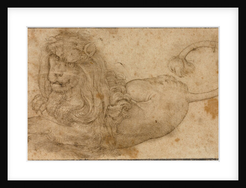Study of a Lion by Lucas Cranach the Elder