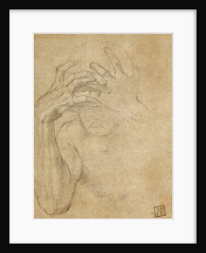 Study of Jealousy by Agnolo Bronzino