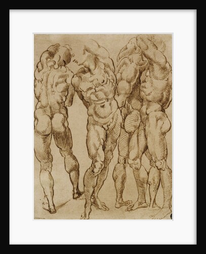 Nude Studies by Bartolomeo Passarotti