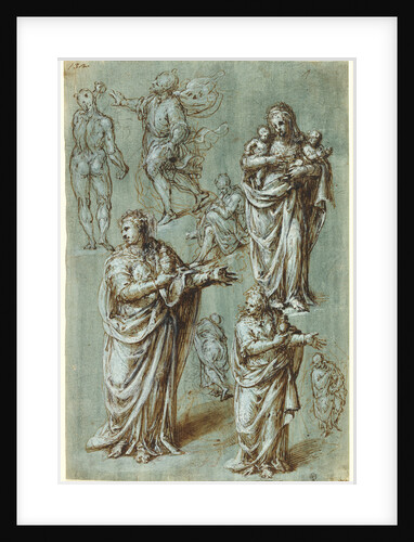 Sheet of Studies of Various Figures by Aurelio Luini