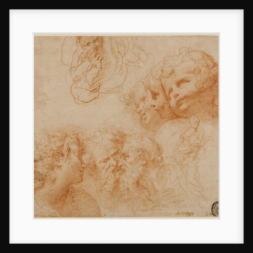 Head and Figure Studies by Giulio Cesare Procaccini