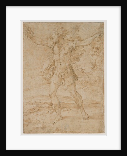 David with the Head of Goliath by Parmigianino