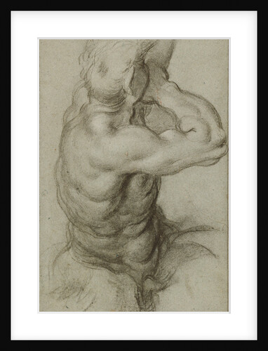 Study of Triton Blowing a Conch Shell (recto), Partial Study of an Arm (verso) by Agostino Carracci
