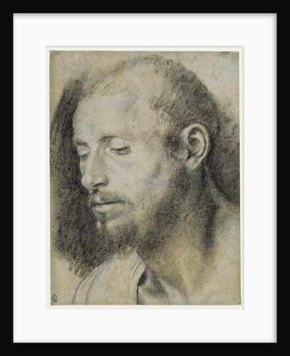 Study of the Head of a Bearded Man by Giovanni Girolamo Savoldo