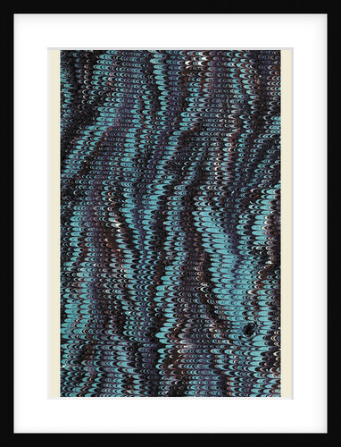 marbled paper, 19th century by Anonymous