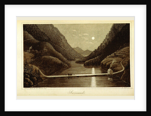 Travels in Norway, Sweden, Denmark, Swinsund by Anonymous