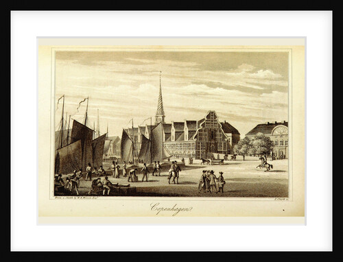 Travels in Denmark, Copenhagen by Anonymous