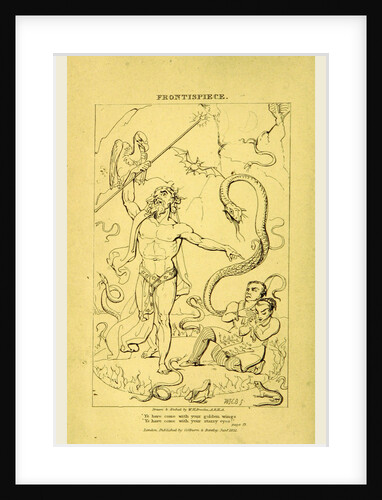 The Siamese Twins, A satirical tale of the times by Anonymous